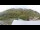 Webcam in Fiesch, 4.4 mi away