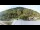 Webcam in Fiesch, 4.4 km entfernt