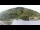 Webcam in Fiesch, 12.1 km entfernt