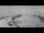 Webcam in Disentis/Mustér, 3.7 mi away