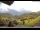 Webcam in Münstertal/Schwarzwald, 7.2 mi away