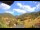 Webcam in Münstertal/Schwarzwald, 10.9 km