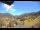 Webcam in Münstertal/Schwarzwald, 4.1 mi away