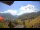 Webcam in Münstertal/Schwarzwald, 3.5 km