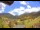 Webcam in Münstertal/Schwarzwald, 18.5 km