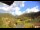 Webcam in Münstertal/Schwarzwald, 11.1 km