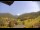 Webcam in Münstertal/Schwarzwald, 3.5 km
