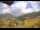 Webcam in Münstertal/Schwarzwald, 10.9 km