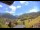 Webcam in Münstertal/Schwarzwald, 3.2 mi away