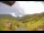 Webcam in Münstertal/Schwarzwald, 18.5 km