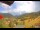 Webcam in Münstertal/Schwarzwald, 8.3 mi away