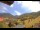 Webcam in Münstertal/Schwarzwald, 7.1 mi away