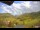 Webcam in Münstertal/Schwarzwald, 18.5 km