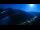Webcam in Ahrntal, 2.3 km entfernt
