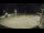 Webcam in Ploudalmézeau, 8.1 km entfernt