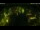 Webcam in Dülmen, 14.1 mi away