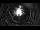 Webcam in Cannobio, 13.3 km