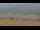 Webcam in El Palmar de Vejer, 48.4 km entfernt
