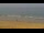 Webcam in El Palmar de Vejer, 15.8 mi away