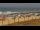 Webcam in El Palmar de Vejer, 37.3 km entfernt