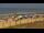 Webcam in El Palmar de Vejer, 19.1 km entfernt