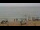 Webcam in El Palmar de Vejer, 14.4 mi away
