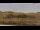 Webcam in El Palmar de Vejer, 541.4 km