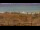 Webcam in El Palmar de Vejer, 7.2 km