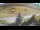 Webcam in Livigno, 1.1 km