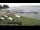 Webcam in Chestermere, 162.9 km entfernt