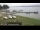 Webcam in Chestermere, 162.9 km