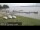 Webcam in Chestermere, 162.9 km