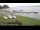 Webcam in Chestermere, 171.7 km entfernt