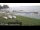 Webcam in Chestermere, 107.8 km