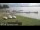Webcam in Chestermere, 172.7 km