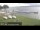 Webcam in Chestermere, 427.4 km