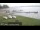 Webcam in Chestermere, 164.7 km