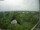 Webcam in Hamburg, 2.5 mi away