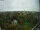 Webcam in Amburgo, 18 km