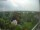 Webcam in Hamburg, 12.4 mi away
