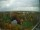 Webcam in Hamburg, 0.9 mi away