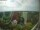 Webcam in Amburgo, 32.3 km
