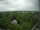 Webcam in Hamburgo, 17 km