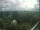 Webcam in Hamborg, 31.9 km