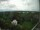 Webcam in Hamburg, 16.3 mi away