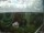 Webcam in Hamburg, 2 mi away