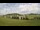 Webcam in Hollenthon, 27.2 km