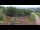 Webcam in Eibenstock, 22 km