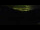 Webcam in St. Moritz, 3.9 km