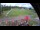 Webcam in Ruka, 1.5 km
